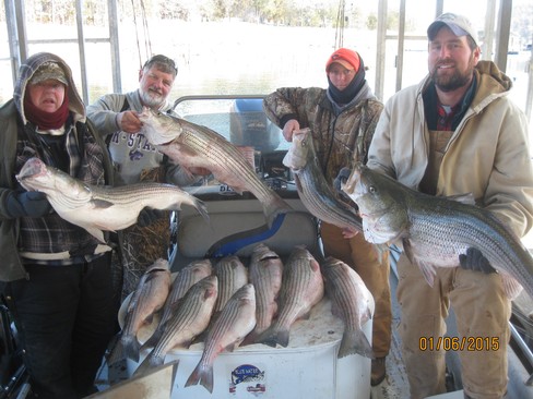 Nice Striped Bass